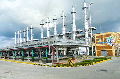 Conventional Power Plant Engineering, Investment, and Operation Management